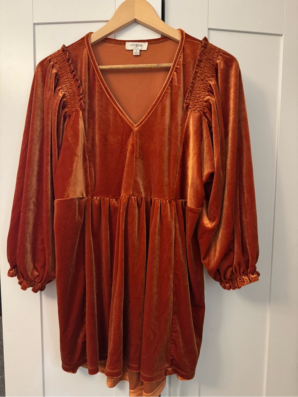 Umgee Burnt Orange Velvet V-Neck Peasant top